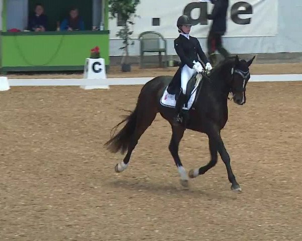 Equestrian Show Kreuth/Opf. 2022