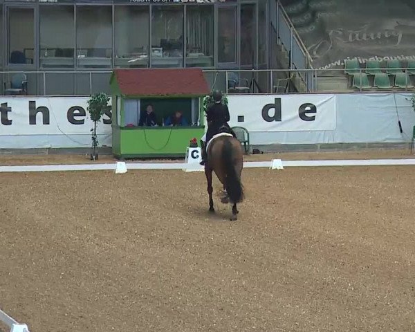 Reitturnier Kreuth/Opf. 2022