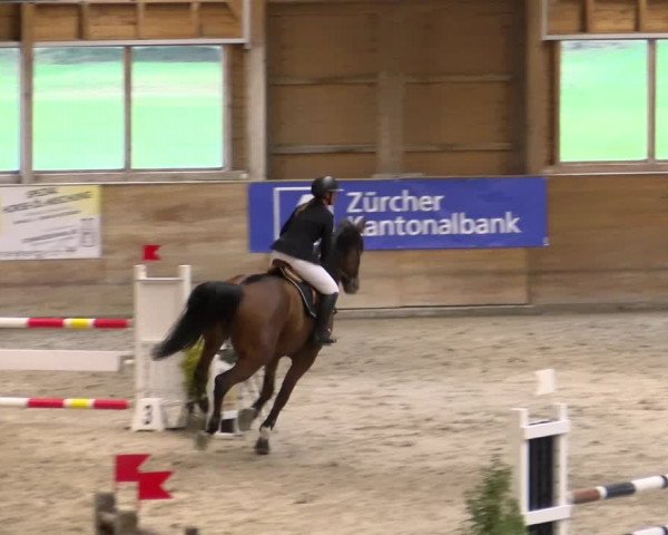 Reitturnier Rüti 2022