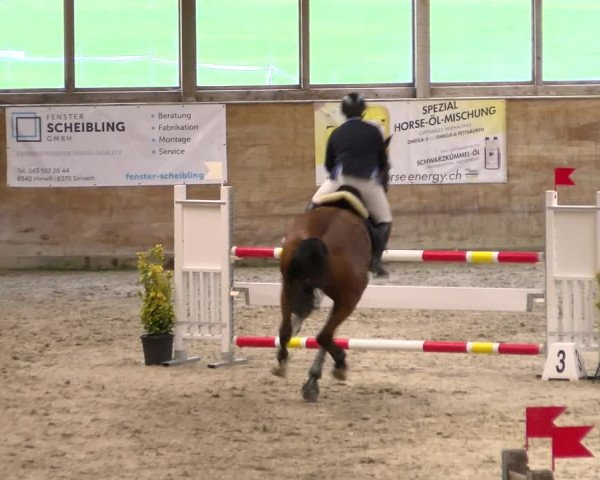 Reitturnier Rüti 2022