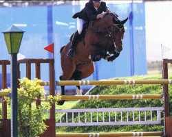stallion Conington (Holsteiner, 2002, from Con Air)