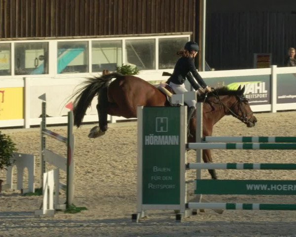 Springturnier Memmingen 2021