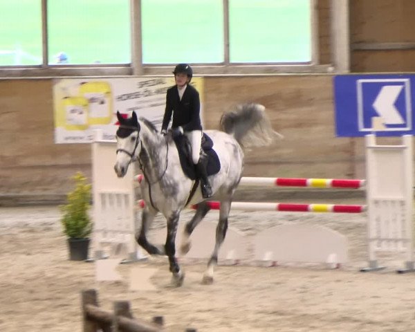 Reitturnier Rüti 2022