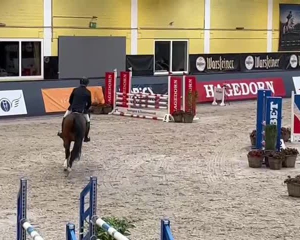 Reitturnier Warstein 2022