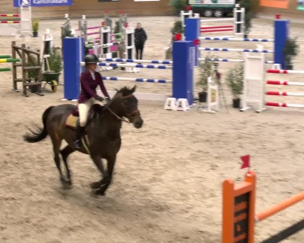 Reitturnier Rüti 2022