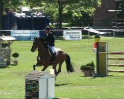 Springpferd Lincoln N (Deutsches Reitpferd, 2004, von Landclassic)