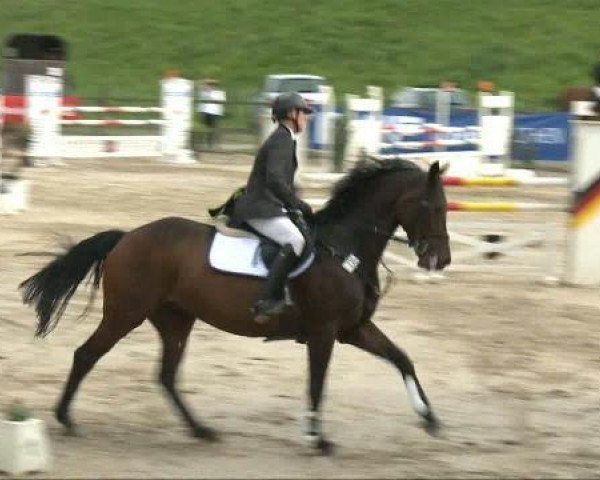 jumper Burggräfin's Landmädchen (Oldenburg, 2001, from Landjunge)