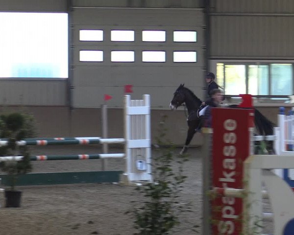 Reitturnier Ahaus 2022