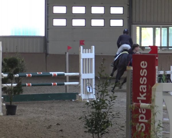 Reitturnier Ahaus 2022