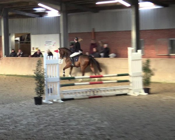 Reitturnier Ahaus 2022