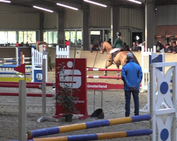 Reitturnier Ahaus 2022
