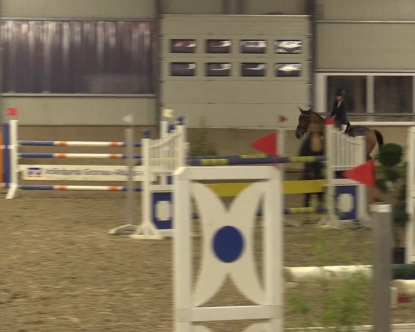 Reitturnier Ahaus 2022