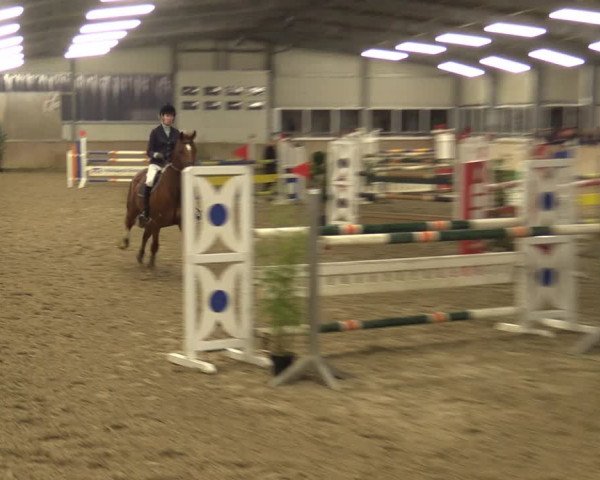 Reitturnier Ahaus 2022