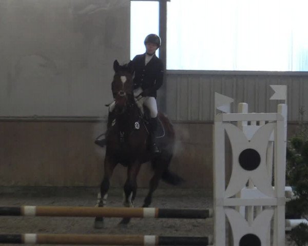 Reitturnier Ahaus 2022