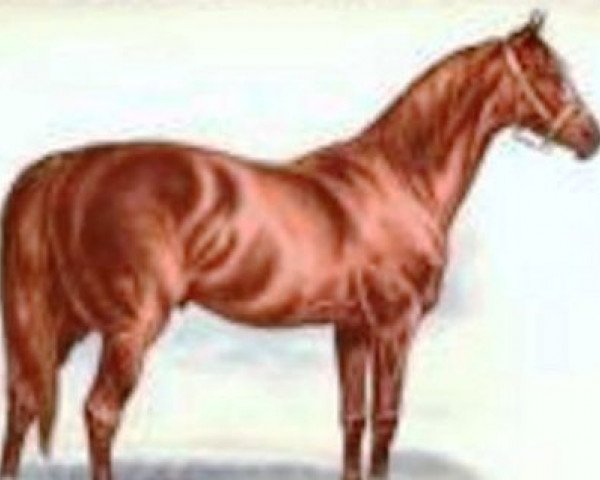 stallion Flageolet xx (Thoroughbred, 1870, from Plutus xx) stallion Flageolet xx (Thoroughbred, 1870, from Plutus xx)