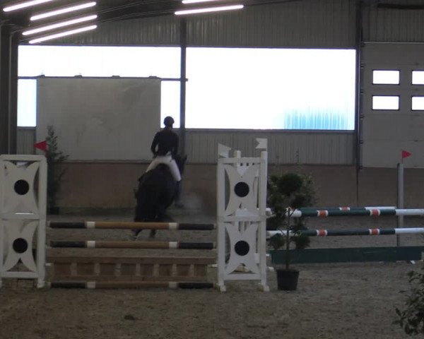 Reitturnier Ahaus 2022