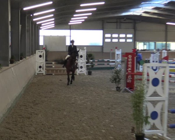 Reitturnier Ahaus 2022