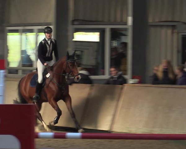 Reitturnier Ahaus 2022