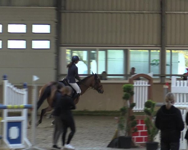 Reitturnier Ahaus 2022