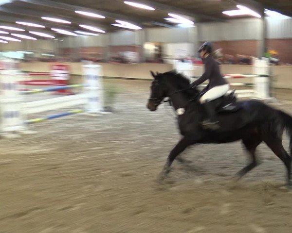 Reitturnier Ahaus 2022
