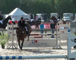 dressage horse Australia 3 (unknown, 1999, from Royal Z I)