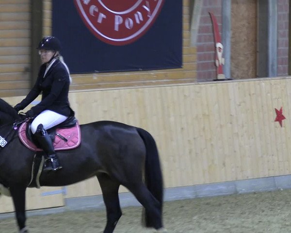 Reitturnier Paderborn 2022