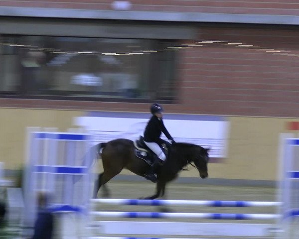 Reitturnier Paderborn 2022