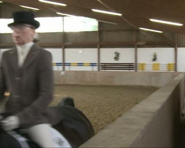 dressage horse A Magic Dream SB (Hanoverian, 2002, from Amani)