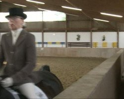 dressage horse A Magic Dream SB (Hanoverian, 2002, from Amani)