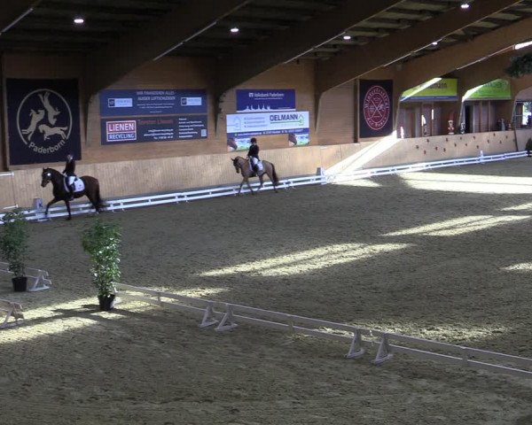 Reitturnier Paderborn 2022