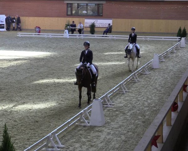 Reitturnier Paderborn 2022