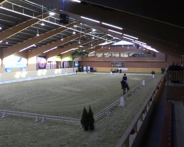 Reitturnier Paderborn 2022