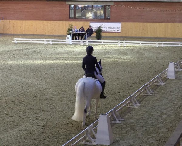 Reitturnier Paderborn 2022