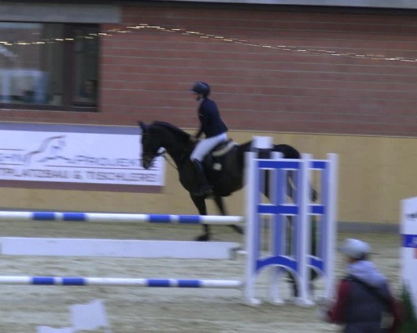 Reitturnier Paderborn 2022