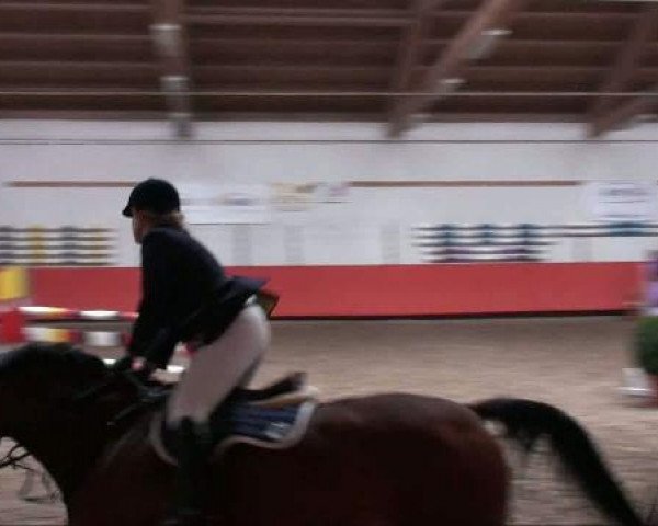 jumper Azzurro 16 (Bavarian, 2003, from Asti Spumante 7)