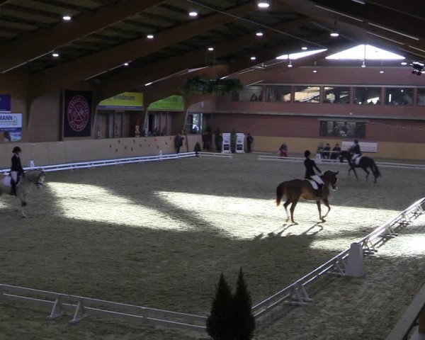 Reitturnier Paderborn 2022