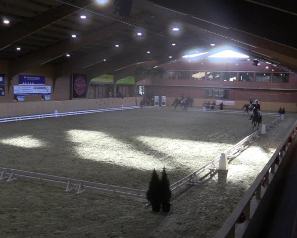 Reitturnier Paderborn 2022
