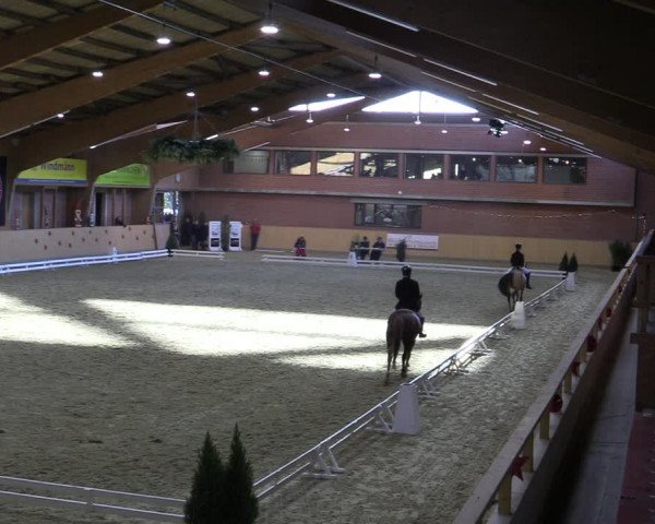 Reitturnier Paderborn 2022