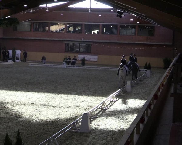 Reitturnier Paderborn 2022