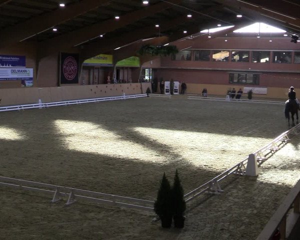 Reitturnier Paderborn 2022