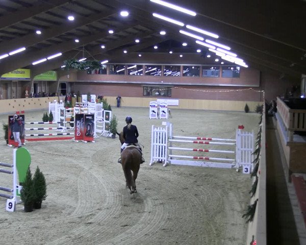 Reitturnier Paderborn 2022