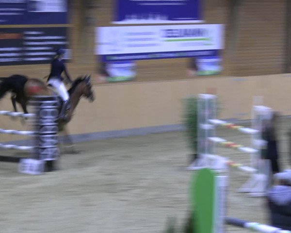 Reitturnier Paderborn 2022
