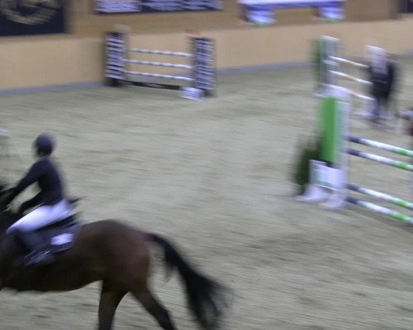 Reitturnier Paderborn 2022