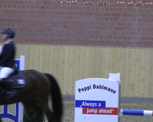 Reitturnier Paderborn 2022