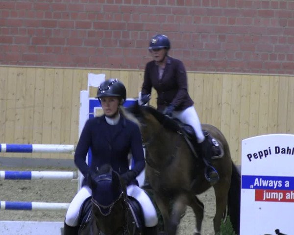 Reitturnier Paderborn 2022