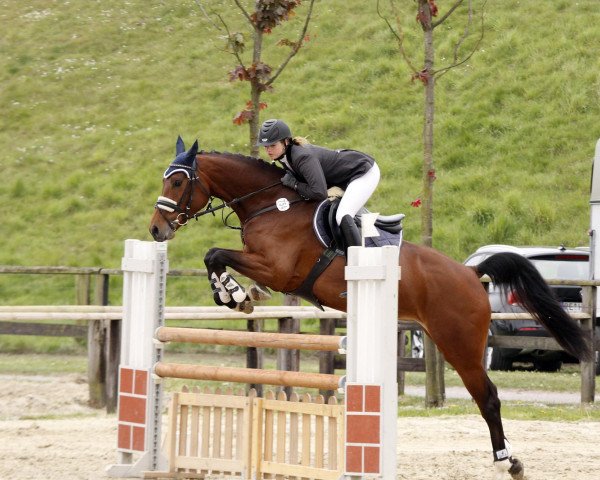 jumper Lucrezia 18 (Oldenburg, 2005, from Ludwig von Bayern 168 FIN)