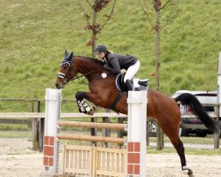 jumper Lucrezia 18 (Oldenburg, 2005, from Ludwig von Bayern 168 FIN)