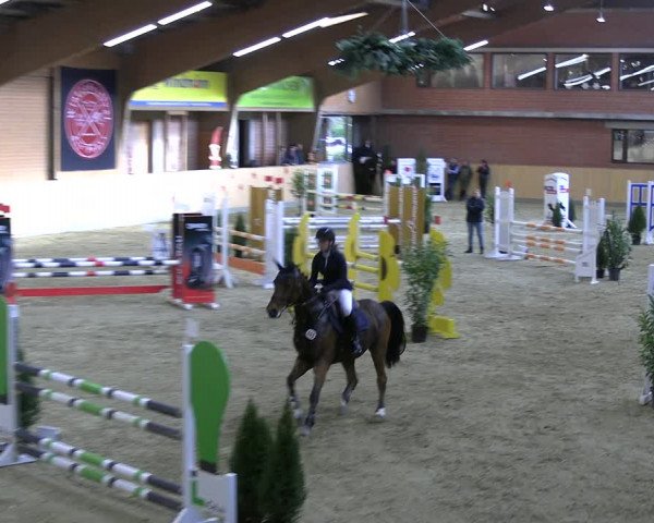 Reitturnier Paderborn 2022