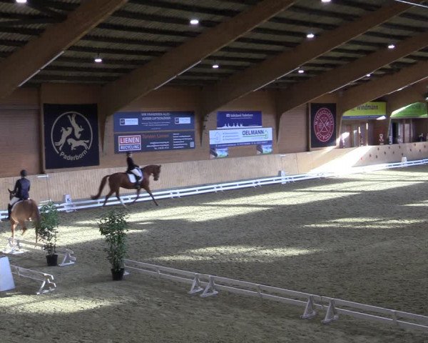 Reitturnier Paderborn 2022