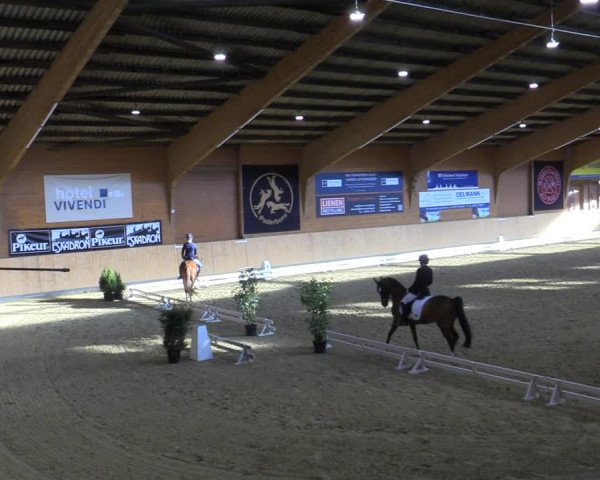 Reitturnier Paderborn 2022